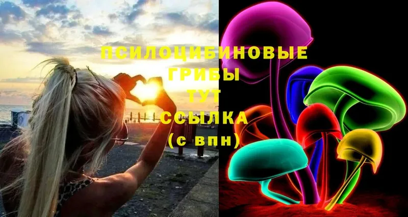 хочу наркоту  Богданович  Галлюциногенные грибы Psilocybine cubensis 