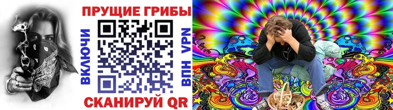 Галлюциногенные грибы ЛСД  Богданович 